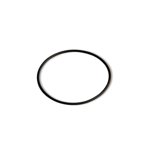 Suzuki Santana Vitara Igniter Housing Gasket