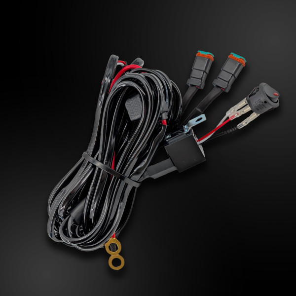 DT Plug 2-pin 2-lamp wiring kit