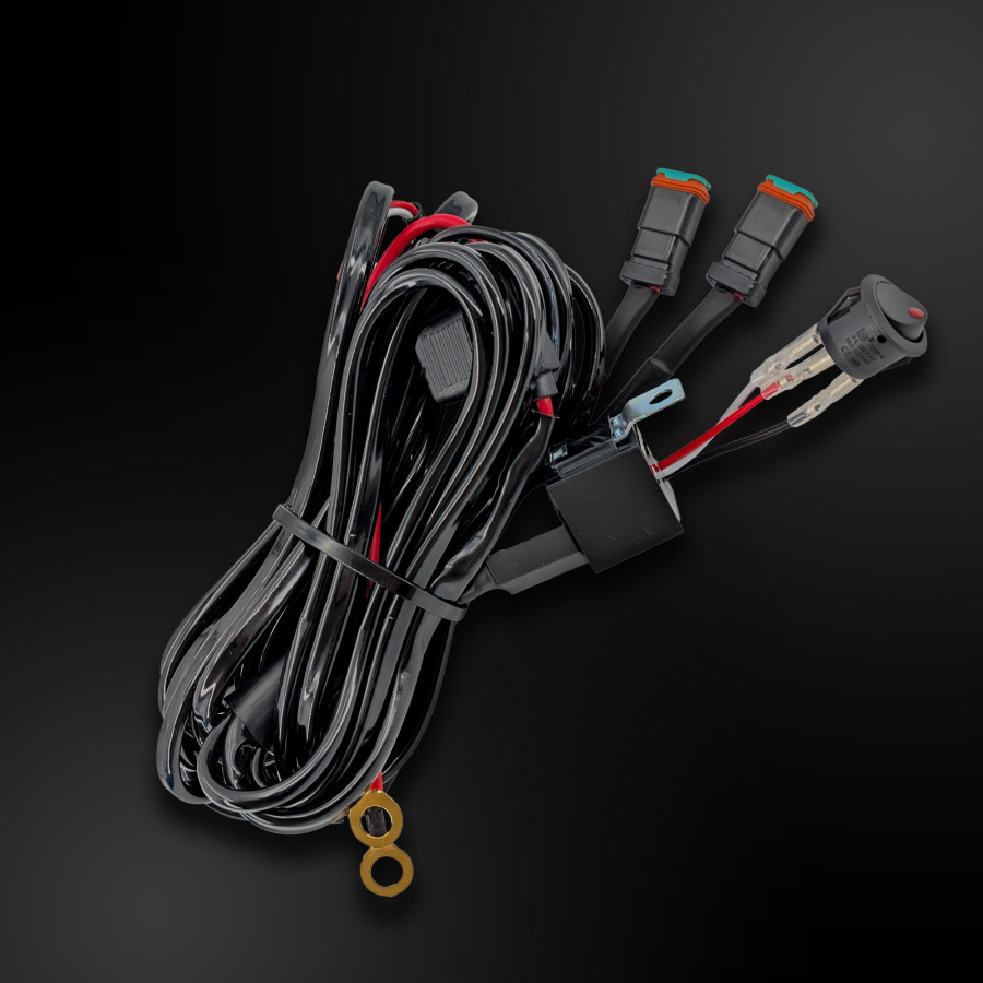 DT Plug 2-pin 2-lamp wiring kit